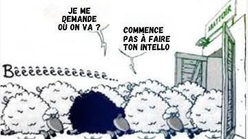 LES EXPÉRIENCES DE CONFORMITÉ DE ASCH - IMPRESSIONNANT !