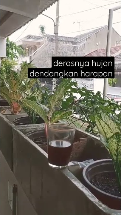 STORY WA TUKANG OJEK: TIPE X - HUJAN