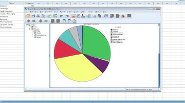 SPSS Pie Chart