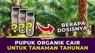 DOSIS PUPUK ORGANIK CAIR UNTUK TANAMAN TAHUNAN? | Kelapa Sawit, Jakaba Super, Bakteri Fotosintesis