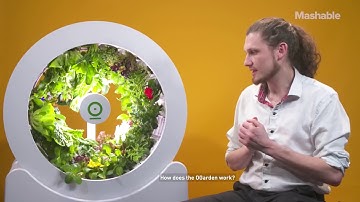 Smart Indoor Garden Grows 90 Fruits and Veggies at Once – Future Blink