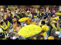 Sufi basant celebration at dargah hazrat nizamuddin auliya ra 2022