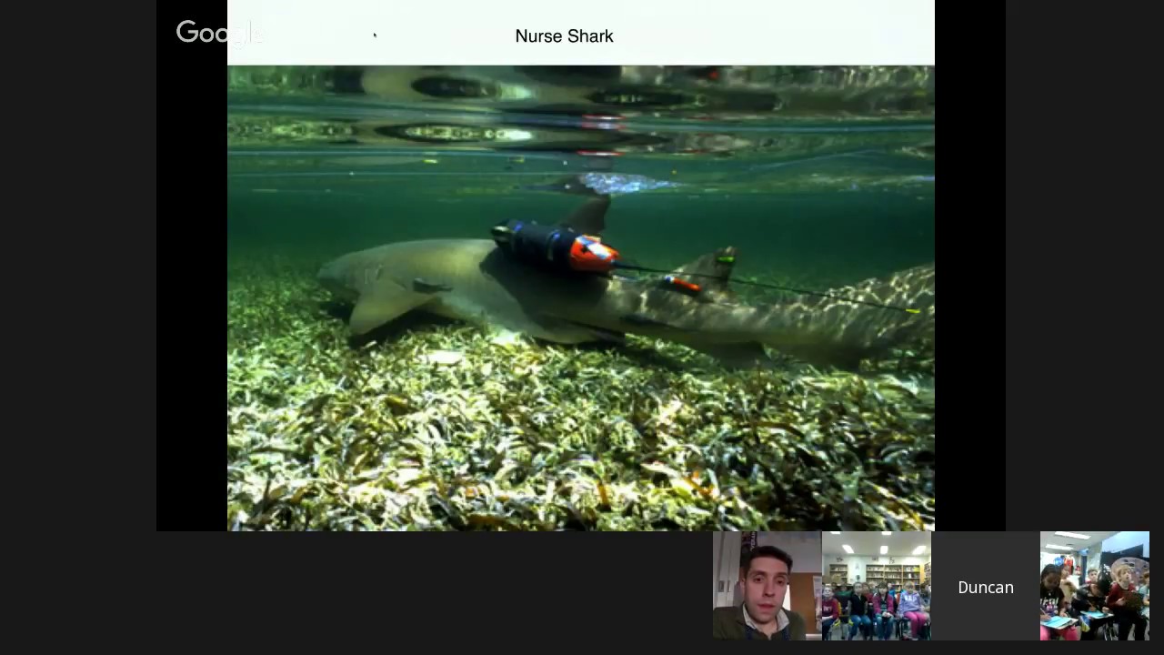 camera iphone 8 plus apk Sharks4Kids Marine Science Hangout: Duncan Brake