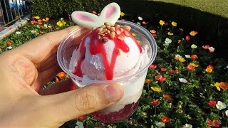 Tokyo Disneyland Easter 2017