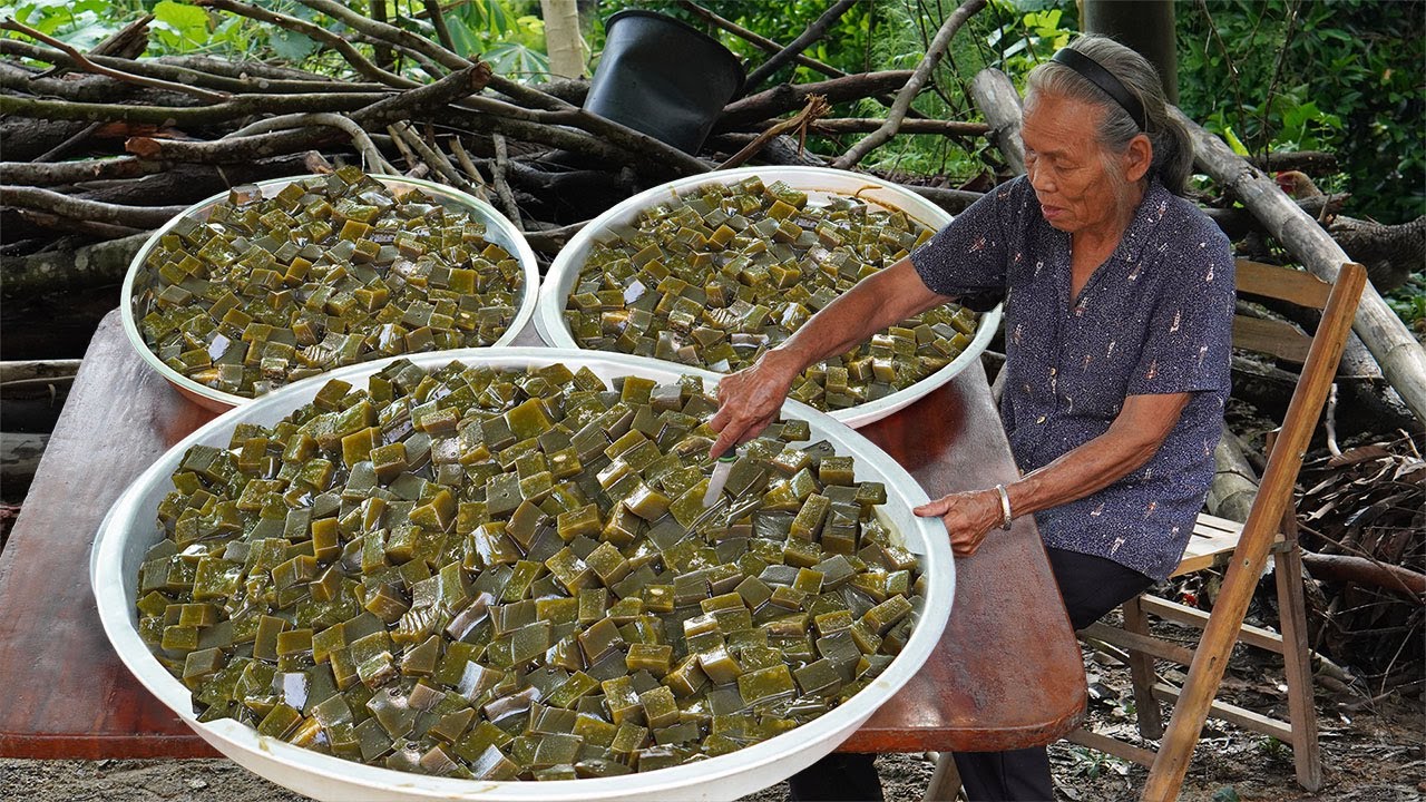天氣炎熱，阿婆教你手工“燒仙草”，清涼解暑，好喝不夠分｜Grandma makes milk tea and traditional food｜