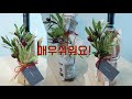 와인선물 포장| 3가지 방법 | 병포장 | how to gift wrap a bottle of wine