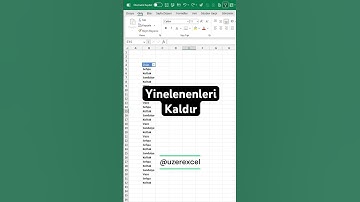 Yinelenen Değerleri Kaldır  #excel #exceltips #exceltricks #exceltutorial #spreadsheet