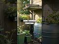 Year-Round Garden Rooms: A Practical Design Series
