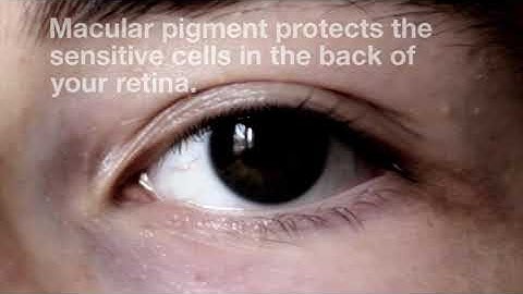 MPOD test – Macular Pigment Optical Density | VisionArts Eyecare Center:  Fulton MO