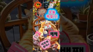 이런 날도 있어야지.