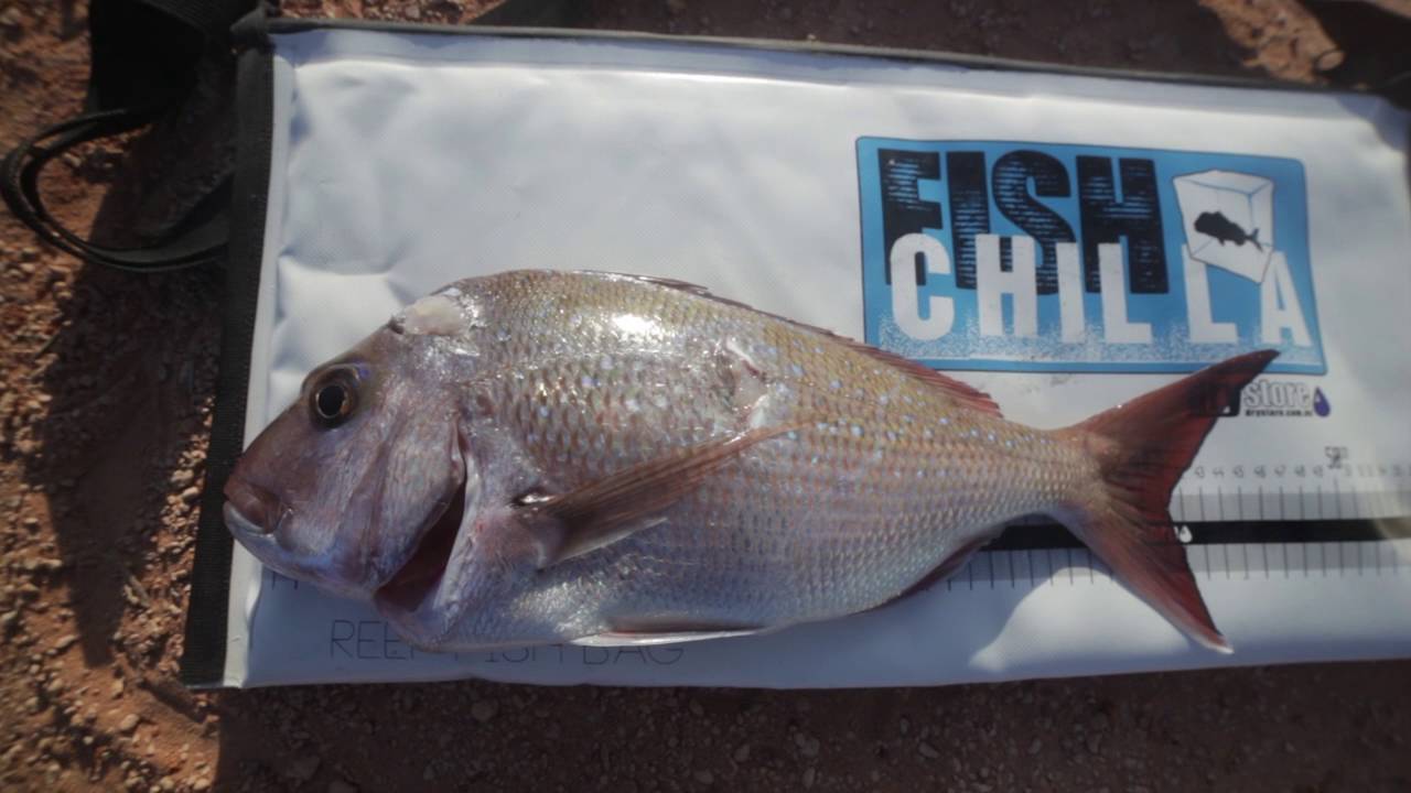 Fish Cooler Bag 'Drystore Fish Chilla' 