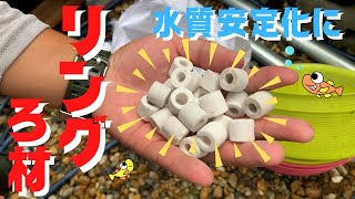 水質を安定させるために、リングろ材を買ってみました☆赤玉土もいいけど、リングろ材も扱いやすくていいかもね^ ^