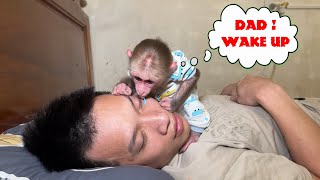 Monkey NANA won't let dad sleep! try to wake up dad