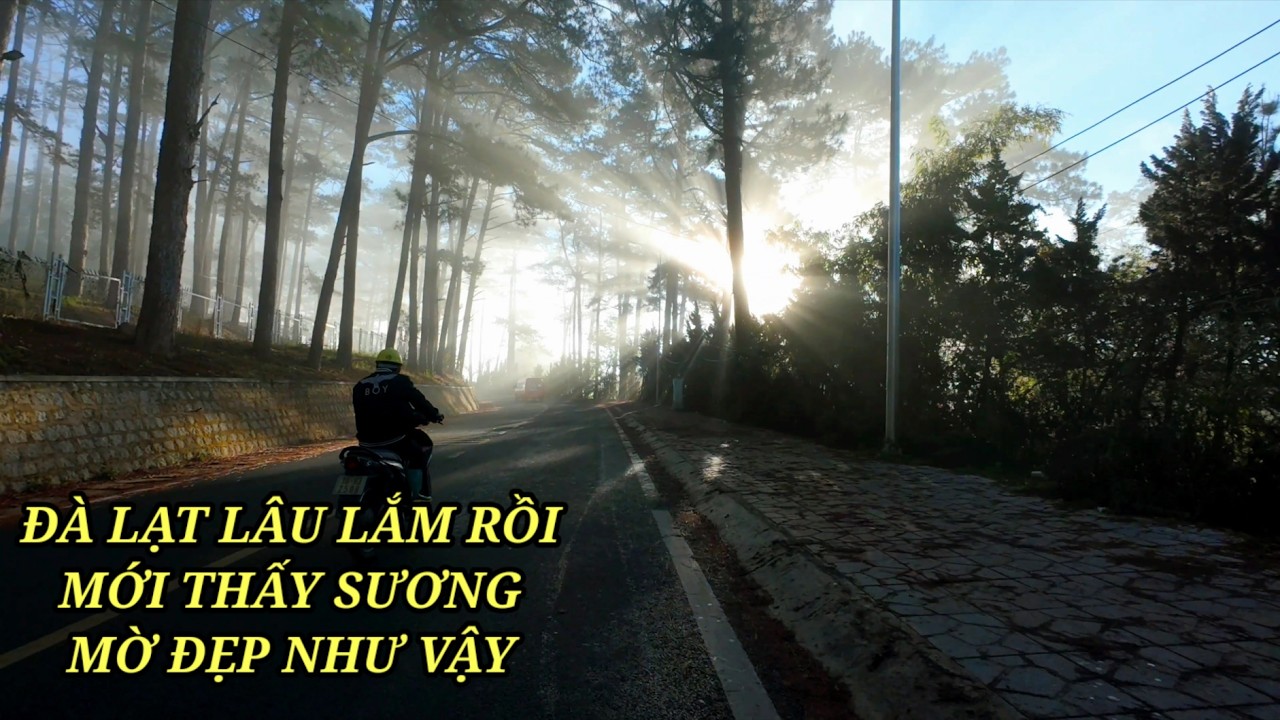 Lâu lắm rồi mới thấy Đà Lạt có sương mờ tuyệt đẹp bao trùm dày đặc như vậy