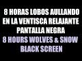 8 horas Lobo Aullando y Ventisca música para dormir pantalla negra / 8 hour Wolf &amp; Snow black screen