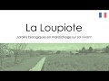 La loupiote  jardins biologiques en maraichage sur sol vivant