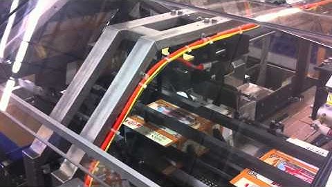 Econocorp Spartan Cartoner with Bucket Conveyor Automatically Loading food bags in Corrugated Carton