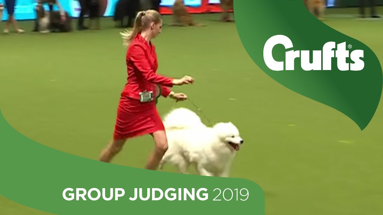 date of crufts 2019