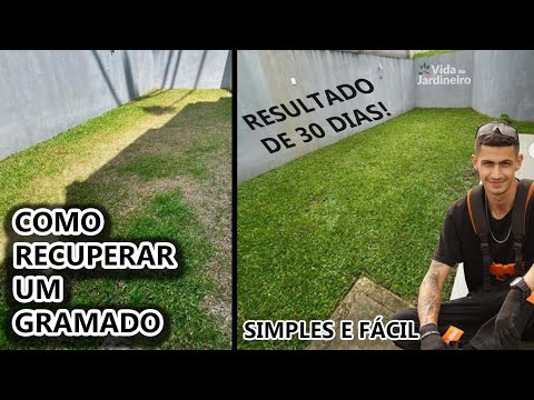 Vídeo: Devo cobrir meu gramado recém semeado?