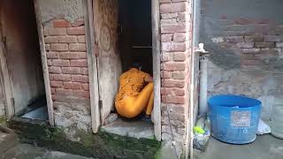 Desi Leggings Cleaning Vlog