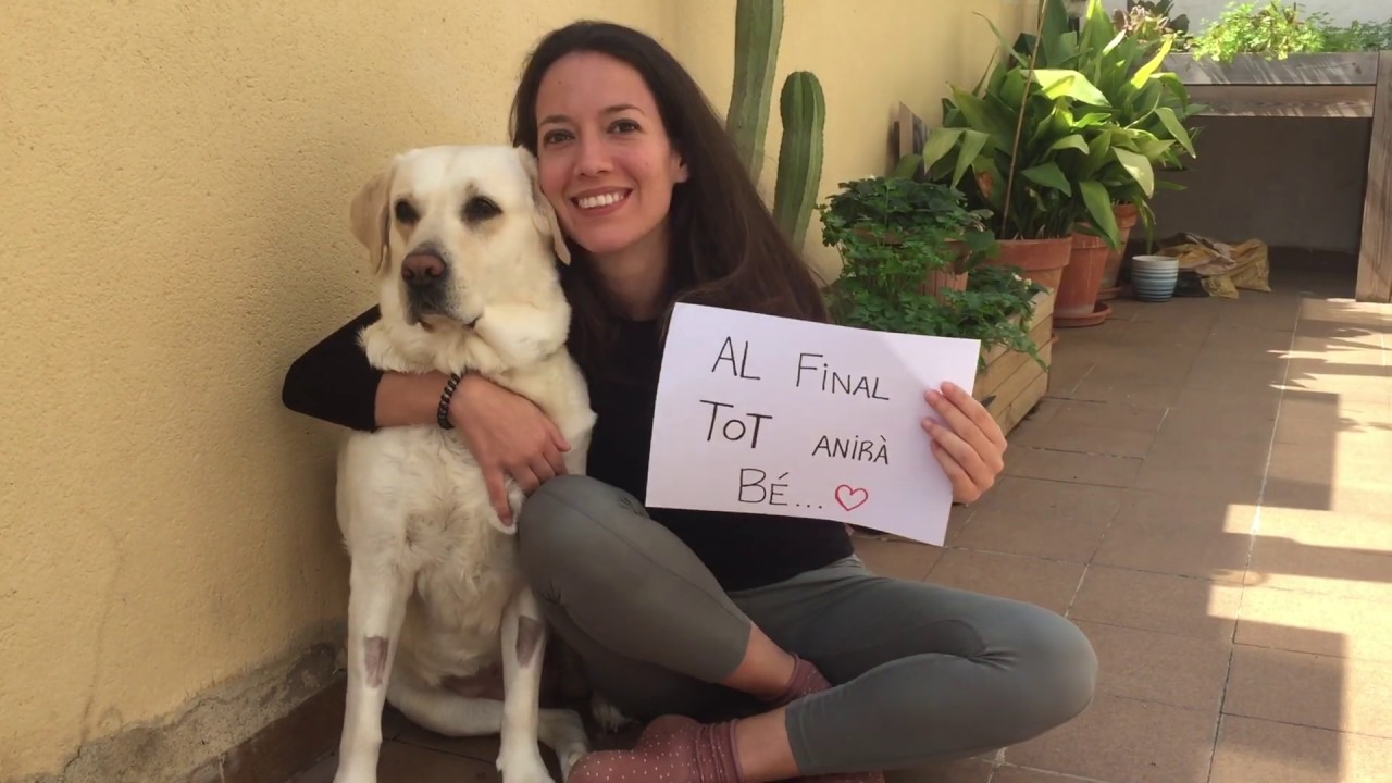 Al final tot anirà bé. Institut de Viladecavalls