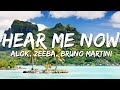 Alok Zeeba Bruno Martini Hear Me Now Lyrics mp3