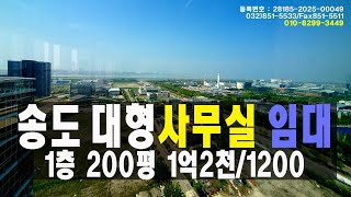 인천송도신도시 대형사무실 임대 661㎡(200), #인천송도신도시 #병원임대 #공공사무실임대, Office rental in Songdo New City Incheon #상가
