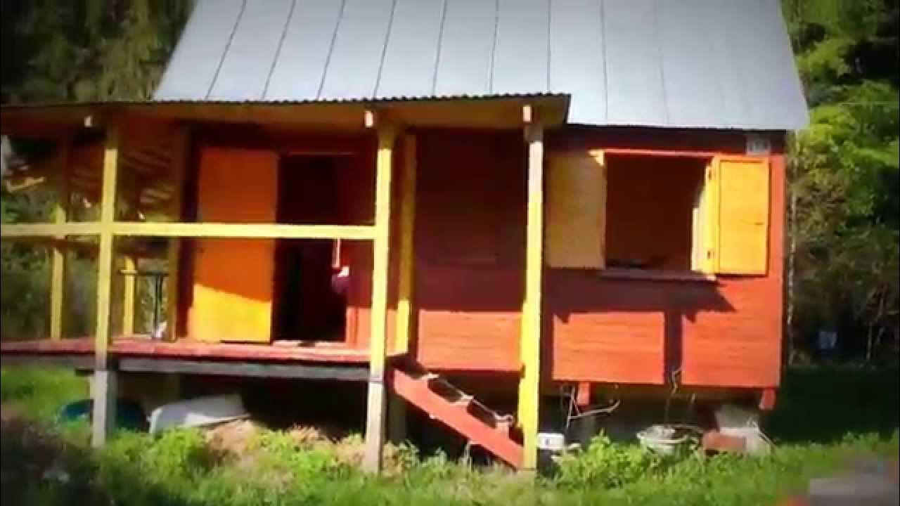 Дачи летом подмосковья. Российский дачный участок. Жизнь в садовом домике зимой. На даче. Московские дачи.