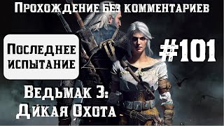 Ведьмак 3: Дикая Охота #101 ► Последнее испытание ► [#witcher3]