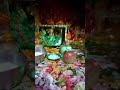 Janamashtmi p laddu gopal