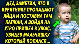 Дед заметил, что в курятники пропадают яйца и поставил там капкан, а войдя на утро пришел в шок…