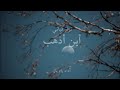        أين أذهب نزار قباني