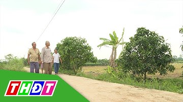 Để vườn cây ăn trái phát triển bền vững với mùa nước nổi | THDT