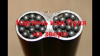 Картечь или пуля на зверовой охоте? Что следует выбрать