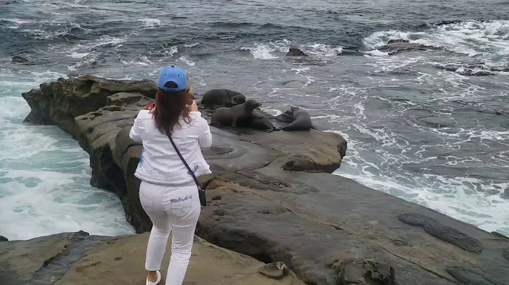 Ellen Browning Scripps Park - La Jolla, CA