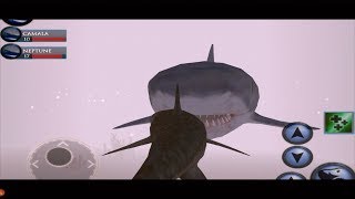 Furious Tiger Shark VS Angry Megalodon Shark Boss, Ultimate Shark Simulator