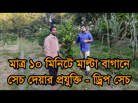 ভিডিও: ডিআইওয়াই ড্রিপ সেচ বা ড্রিপ সেচ ব্যবস্থা