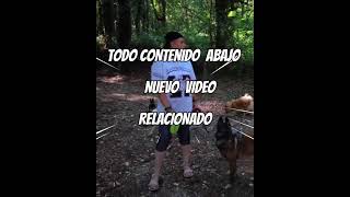 🚐 Área GRATIS de Porto Quintela | Galicia con 3 Perros 🐶