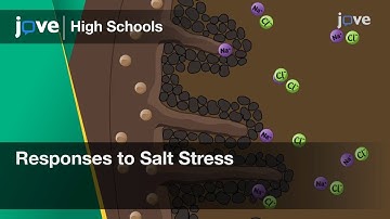 Responses to Salt Stress | Bio | Video Textbooks - Preview
