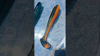 Custom-made Jetty Swimbaits CATCH Fish! #fishing #saltwaterfishing #rockfishing