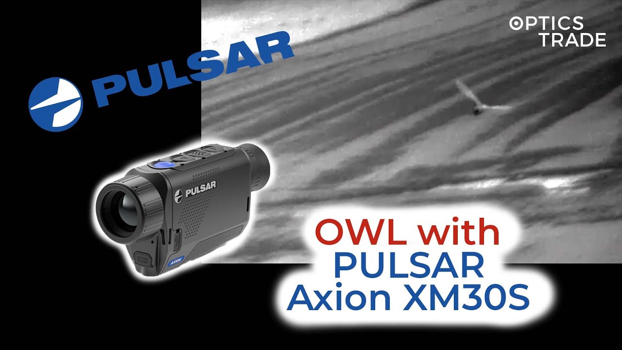 Pollen with the pulsar. Pollen with the pulsar