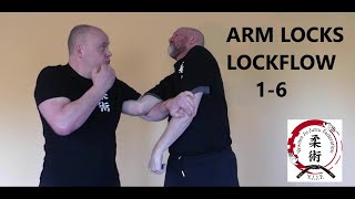 ARM LOCKS LOCK FLOW 1-6