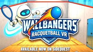 WALLBANGERS: Racquetball VR (Meta Quest VR sports game)