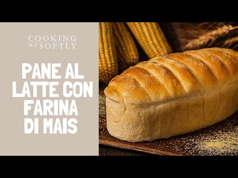 Pane al latte con farina di mais - ricetta semplice e gustosa