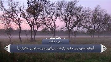 قضاوت با قران_سوره مائده آیه 44 و 45