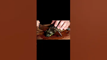 Slicing Turtle With Knife Aigenerated Satisfying Relaxing Cinematic Asmr 4Kvisual Trending 