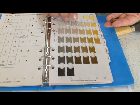 Vídeo: Com Es Determina La Profunditat Del Color