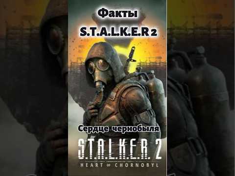 STALKER 2 Сердце