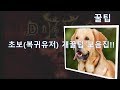 보이스피싱 싹을 잘라버린 천재 프로그래머의 기발한 방법 - YouTube