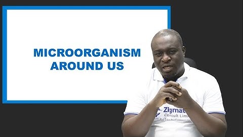 BIOLOGY | MICROORGANISMS AROUND US | EXAM GUIDE | LEARNING HUB | ZIGMATECH CONSULT | EXAMGUIDE